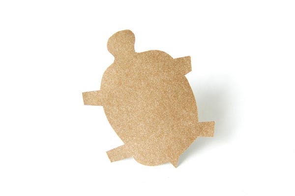 Turtle Kohlya Turtle Kohlya