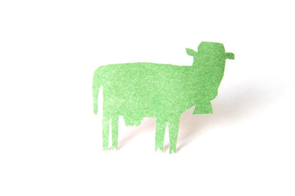 Cow Varya