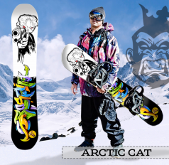 Arctic Cat Arctic Cat