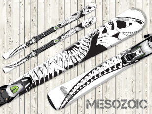 Mesozoic Mesozoic