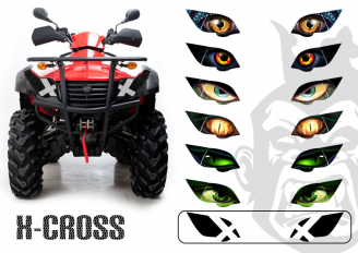 X-Cross
