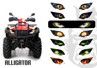 Alligator Alligator