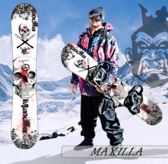 Maxilla Maxilla